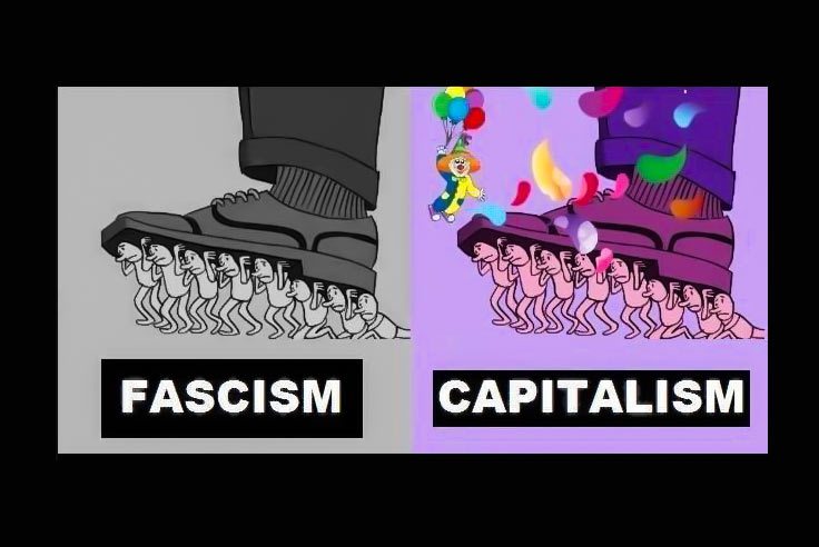 fascism capitalisme