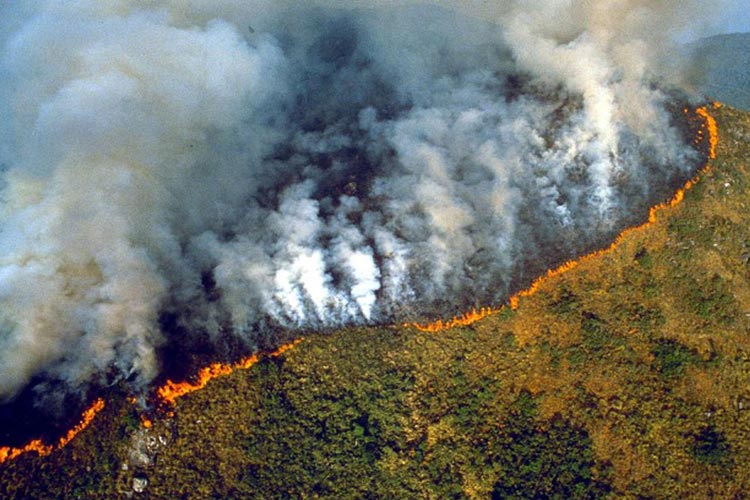 πυρκαγιές στο δάσος του Αμαζονίου