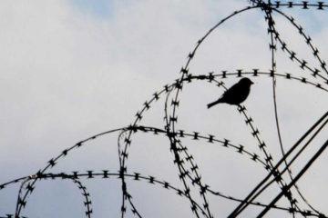 φυλακή κορυδαλλός σχολείο προπαγάνδα παραπληροφόρηση Χατζηστεφάνου φυλακισμένοι κρατούμενοι
