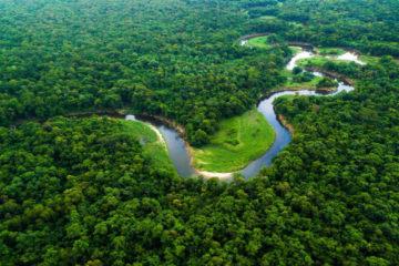 Αμαζόνιος σωτηρίας χώρες Λατινική Αμερική τροπικό δάσος αποψίλωση κλιματική κρίση εκπομπές αέρια θερμοκηπίου διοξείδιο του άνθρακα
